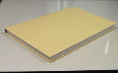 Illustration lie - Image 1