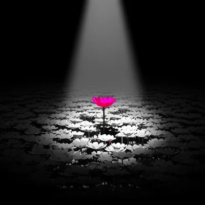 Illustration appropriating - Image 1