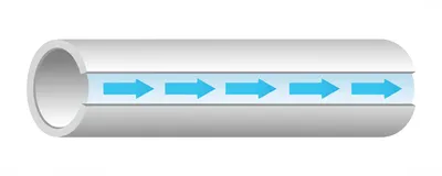 Hình ảnh minh họa windpipe - Ảnh 1