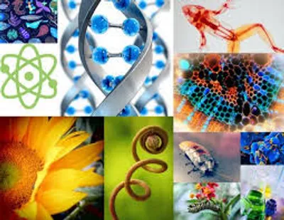 Illustration biology - Image 2