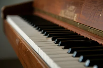 Illustration ivories - Image 1