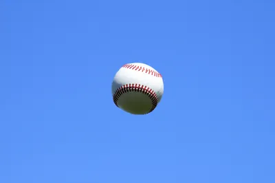 Illustration flat - Image 1