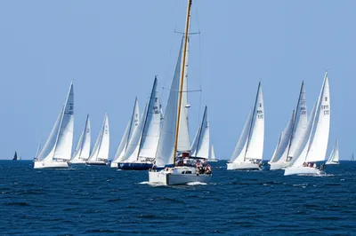 Illustration disadvantage