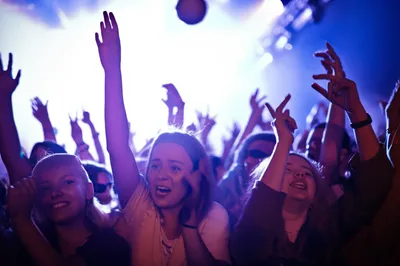 Illustration fans - Image 1