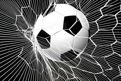 Illustration nets - Image 1