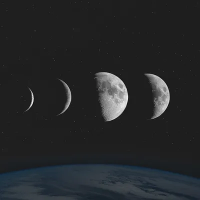 Illustration wanes - Image 1