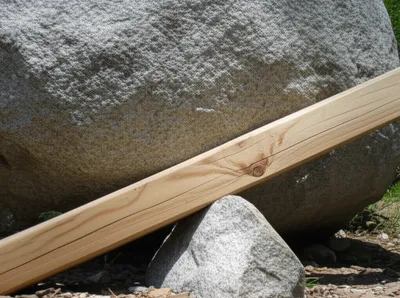 Illustration bites - Image 1