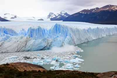 Illustration snouts - Image 1