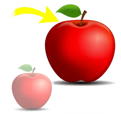 Illustration comparatives - Image 1