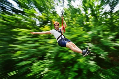 Illustration zipping - Image 1