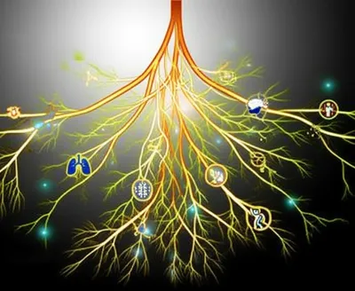 Illustration organise - Image 1