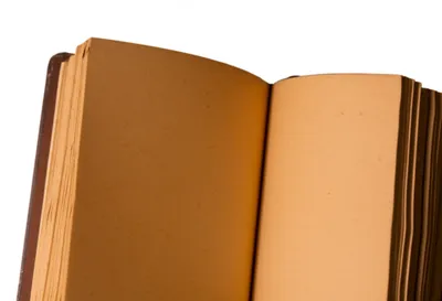 Illustration creases - Image 1