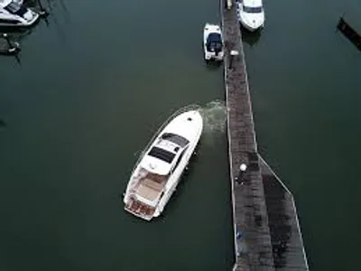 Illustration crab - Image 2