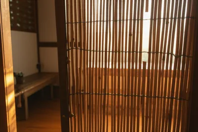 Illustration chicks - Image 1