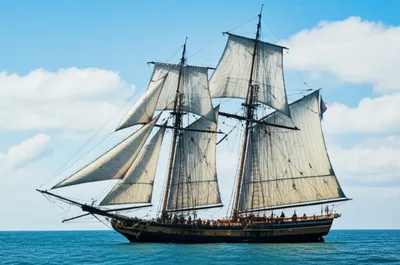 Illustration driver - Image 1