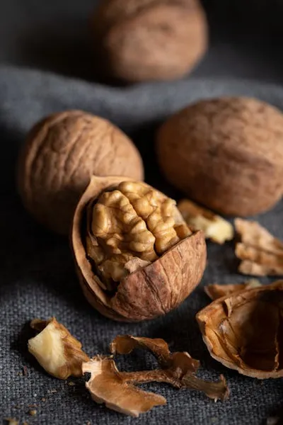 Illustration pericarp - Image 2