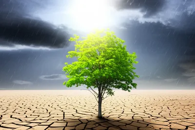 Illustration recovered - Image 1