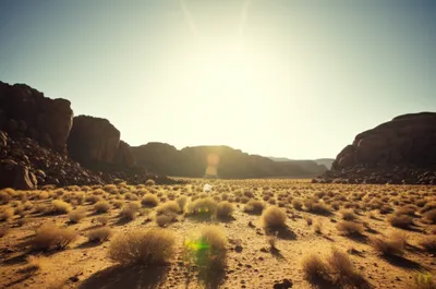 Illustration noontide - Image 1