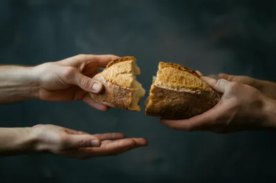 Illustration shares - Image 1