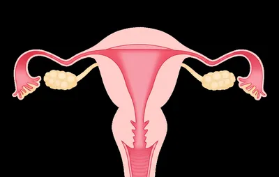 Illustration booties - Image 1