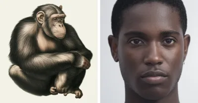 Illustration monkey - Image 1