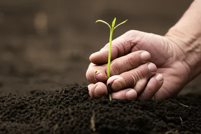 Illustration living - Image 1