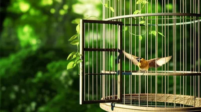 Illustration exempts - Image 1