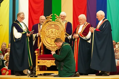 Hình ảnh minh họa chair - Ảnh 1