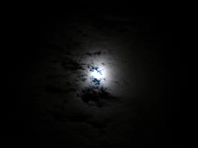 Hình ảnh minh họa apparitions - Ảnh 1