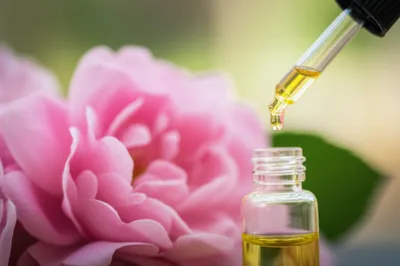 Illustration absolute - Image 1