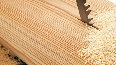 Illustration sawed - Image 1