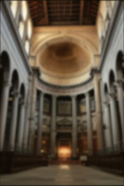 Illustration conchae - Image 1