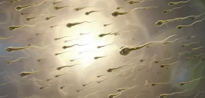 Illustration swimmers - Image 1