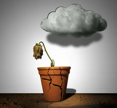 Illustration unfavourably