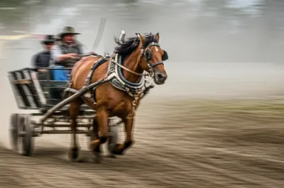 Illustration gee - Image 1