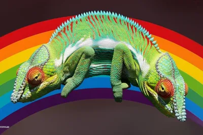 Illustration hue - Image 1