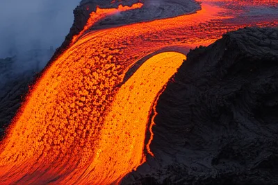 Illustration effusive - Image 1