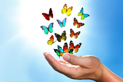 Illustration letting - Image 1