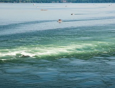 Illustration influx - Image 1