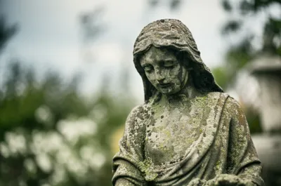 Illustration griseous