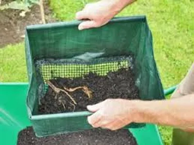 Illustration riddle - Image 2