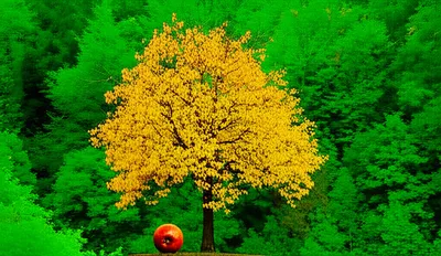 Illustration diseased - Image 1