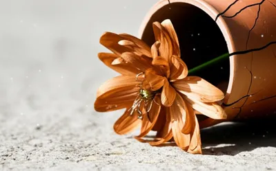 Illustration defunct - Image 1