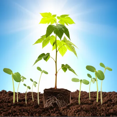 Illustration rising - Image 1