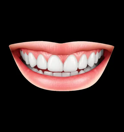 Illustration gingival - Image 1