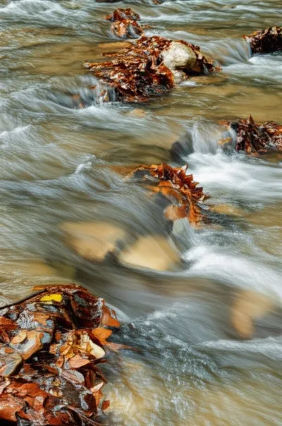 Illustration scouring - Image 1