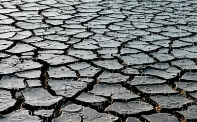 Illustration relent - Image 1