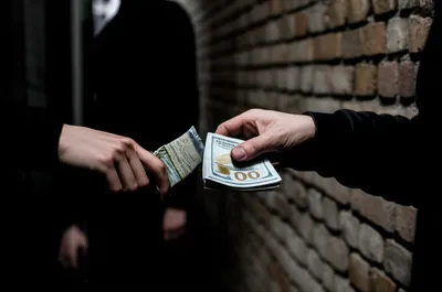 Illustration copped - Image 1