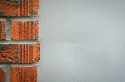 Illustration butts - Image 1