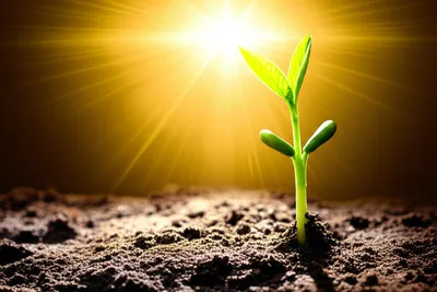 Illustration encourages